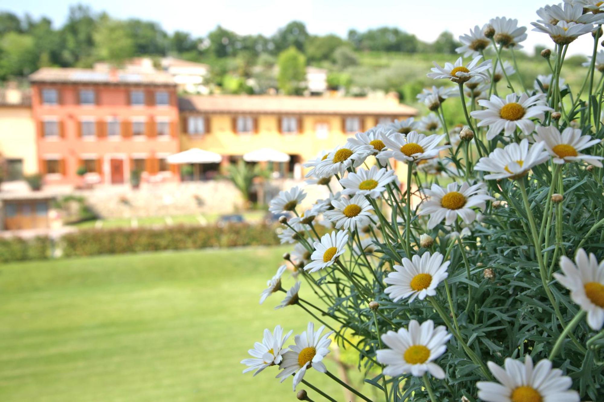 Bed and Breakfast La Zerla Bardolino Exterior foto